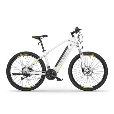 E-bike TEMPT E+ EX (2021)